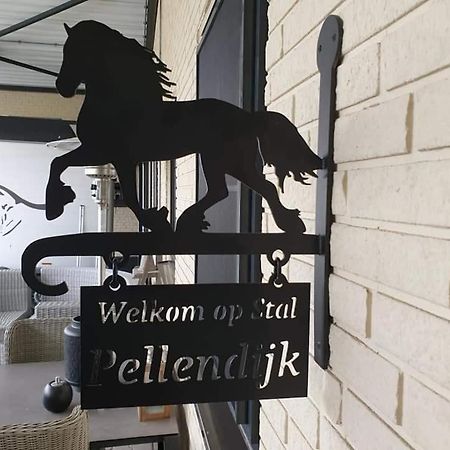 Luxe Gastenkamer Met Living En Keuken Bij Friezen Paarden Stal Pellendijk Westendorp Ngoại thất bức ảnh