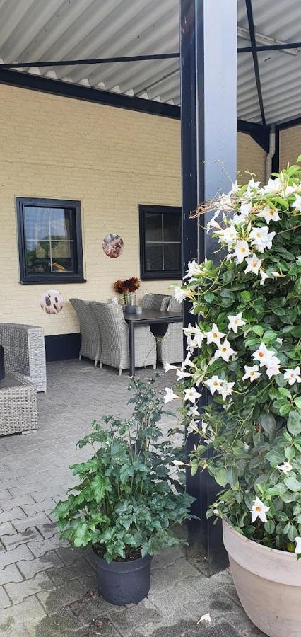 Luxe Gastenkamer Met Living En Keuken Bij Friezen Paarden Stal Pellendijk Westendorp Ngoại thất bức ảnh