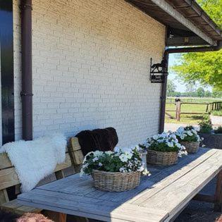 Luxe Gastenkamer Met Living En Keuken Bij Friezen Paarden Stal Pellendijk Westendorp Ngoại thất bức ảnh